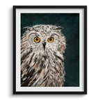 Doug Sharpe Night Owl Abstract Art Print Black Frame