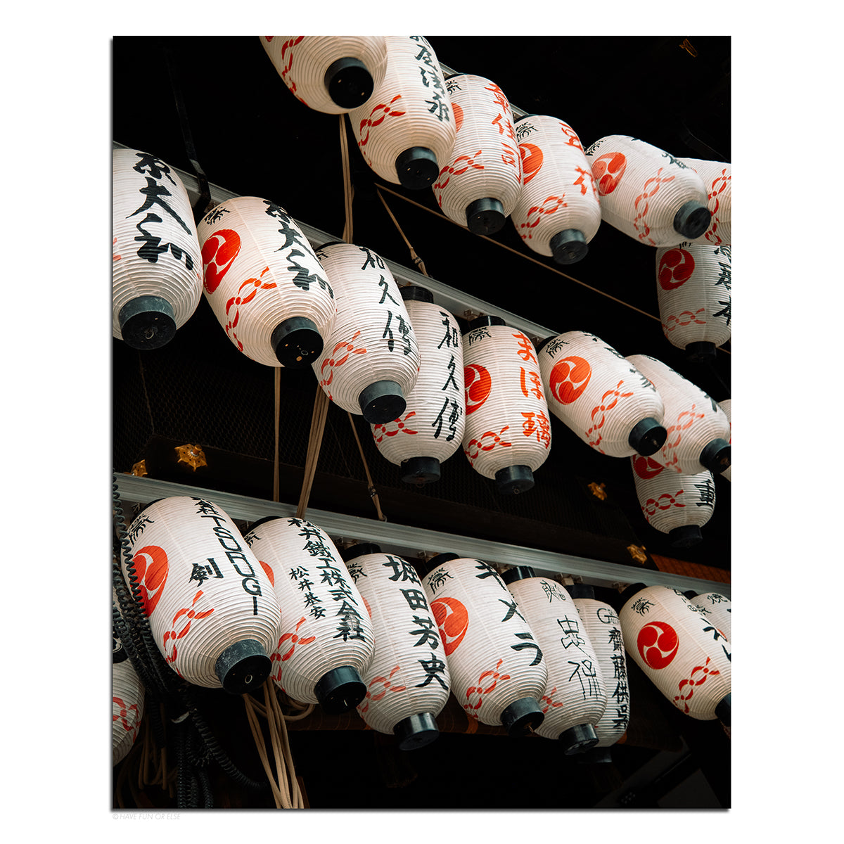 Waltz of the Washi - Photography Print