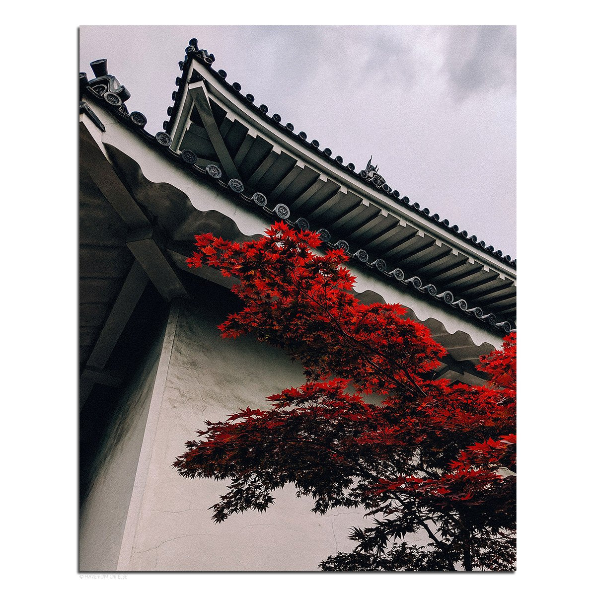Japanese Maple Tree - Photography Print